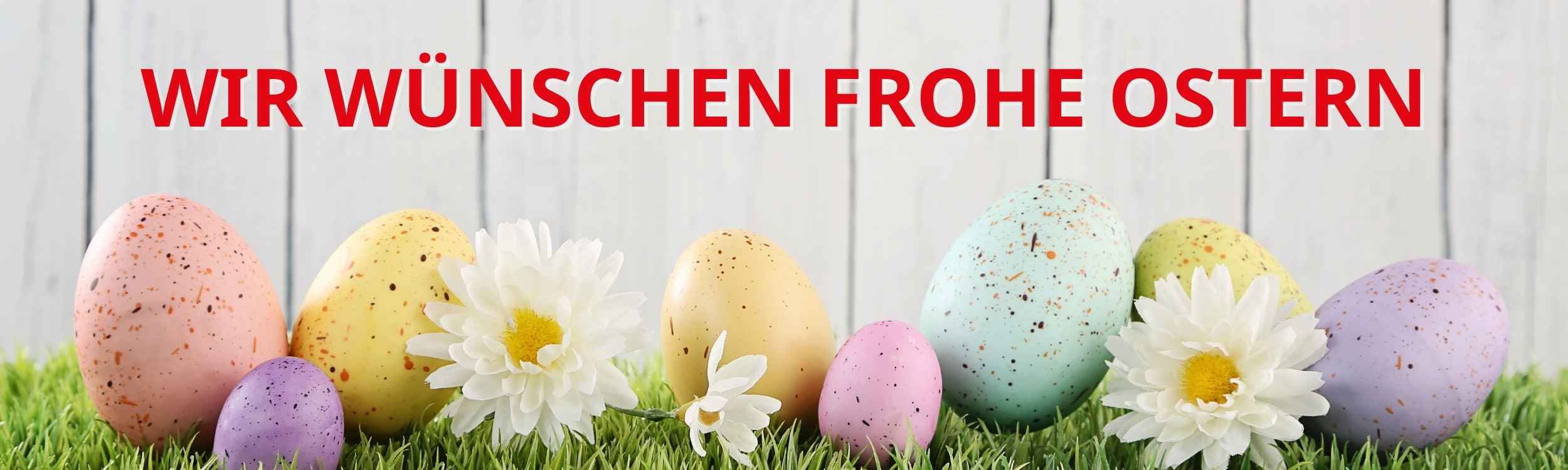 Oster-Header.jpg